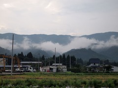 P7301626_compressed