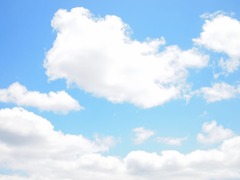 P7241546_compressed