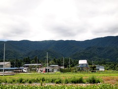 P7241545 (2)_compressed