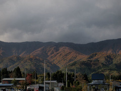 PB036884