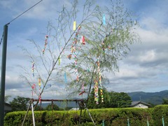 IMG_0754_compressed