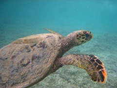 Seychelles42