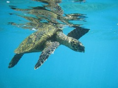 Seychelles38