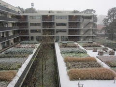 Snow01
