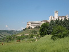 Assisi10