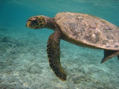 Seychelles43
