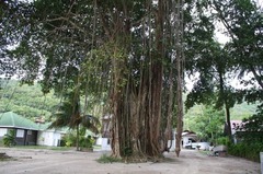 Seychelles24