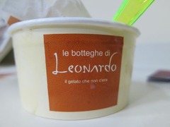 Leonardo11