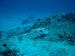 Seychelles35