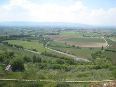 Assisi14