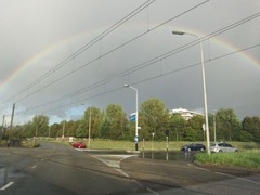 reinbow02