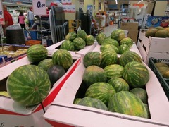 Sardegna026