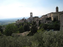 Assisi39