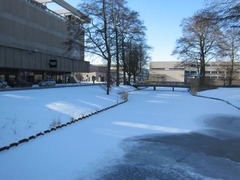 Snow04