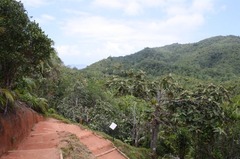 Seychelles19