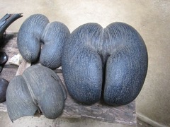 Seychelles20