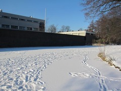 Snow06