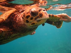 Seychelles39
