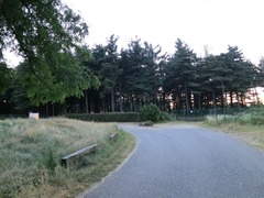 ChaletNelParco08