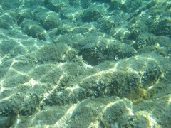 Sardegna091