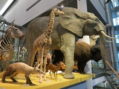 Naturalis07
