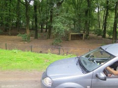 BeekseBergen08