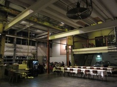 Goudfazant15