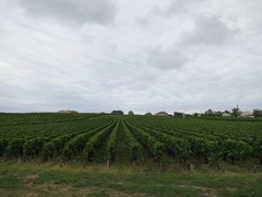 BordeauxM27