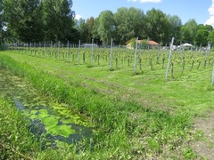 DeAmsteltuin20