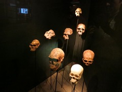 Apenheul88