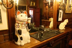 KattenKabinet09
