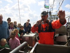 Texel044