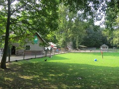 Aalsmeer16