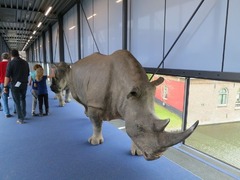 Naturalis05