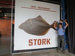 Stork36