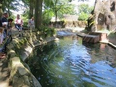 Burgerzoo21