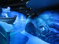 SeaMuseum53