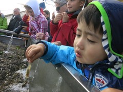 Texel046