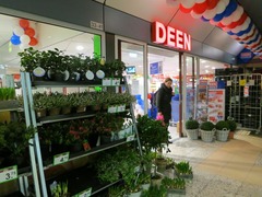 Deen07
