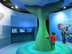 SeaMuseum60