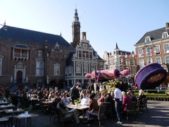 Haarlem15
