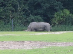 Burgerzoo61