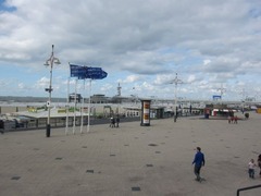 Sealife04