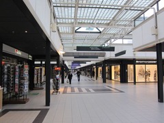 Oliodiolivo01