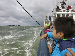 Texel036