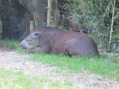 Burgerzoo23