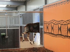 BeekseBergen29