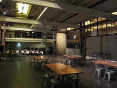Goudfazant19