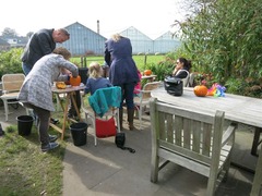 Pluktuin31