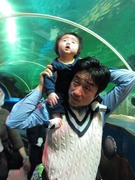 Sealife27